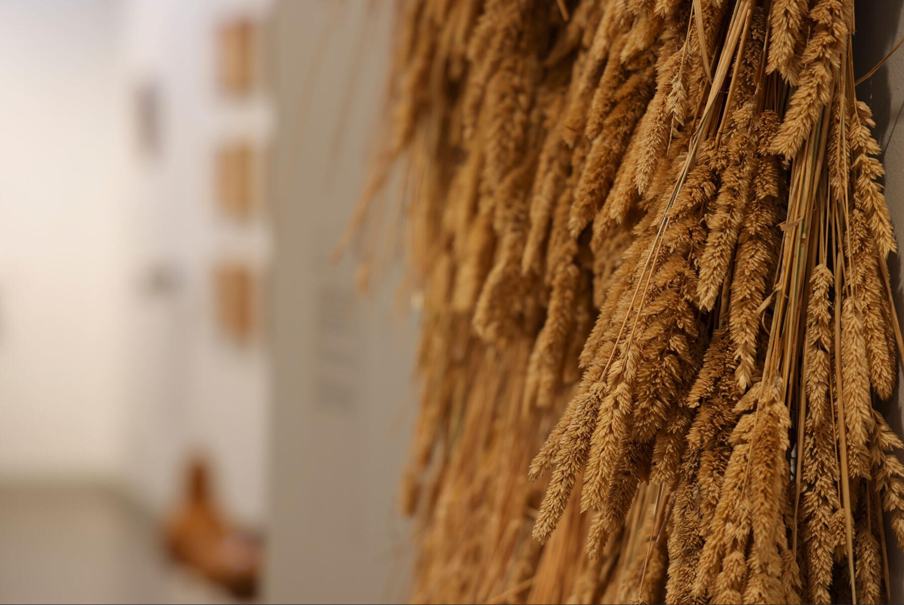 'Rhythm of the Land', detail, Ellen Taylor, Of The Earth, Berninneit Art Gallery. Image: Marshall Warren. Courtesy of the artist 'Rhythm of the Land', detail, Ellen Taylor, Of The Earth, Berninneit Art Gallery. Image: Marshall Warren. Courtesy of the artist. Curated by Jasmin McNeill