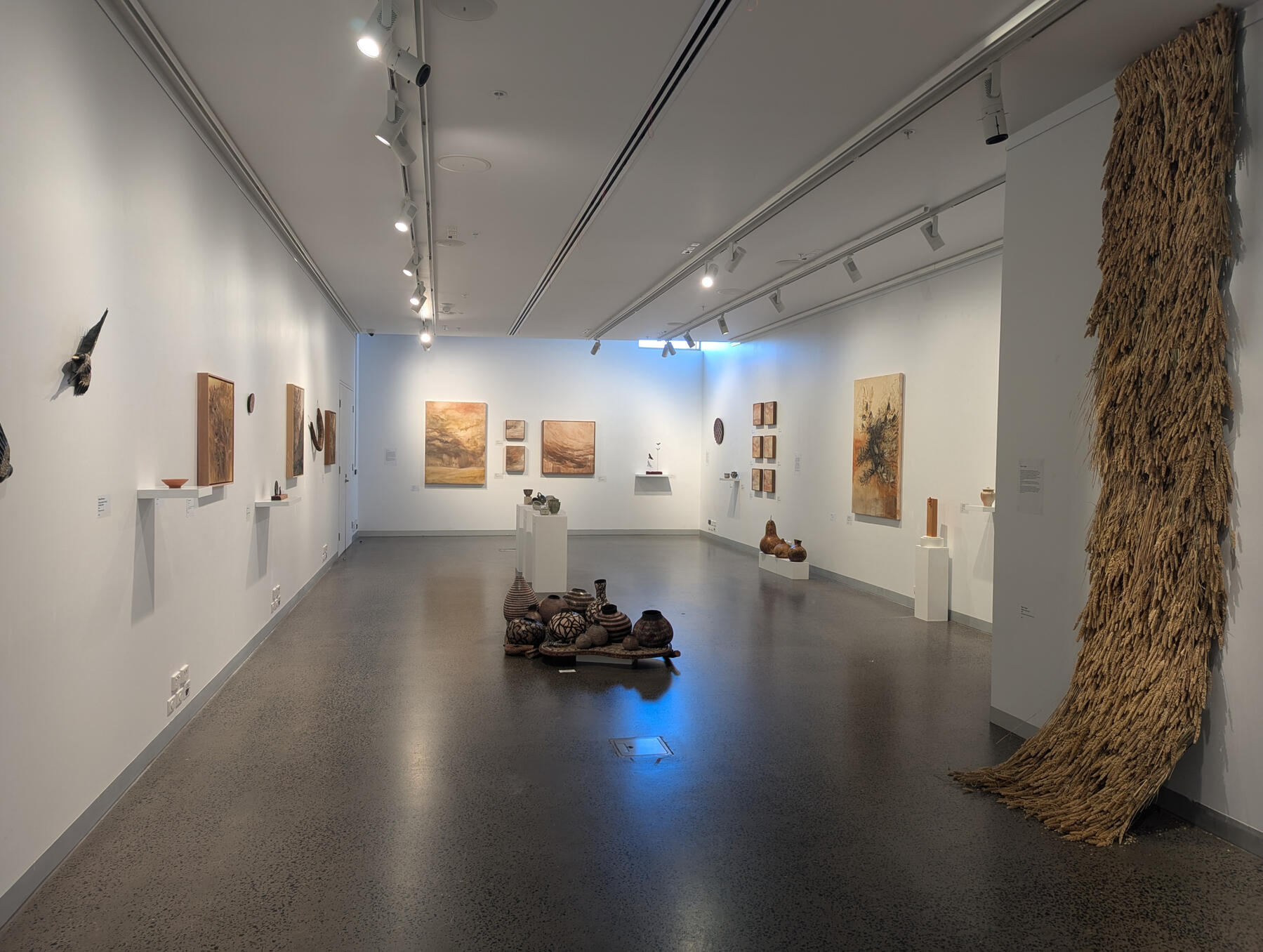 Hidden Ecology, installation view, 2025, Berninneit Art Gallery.
